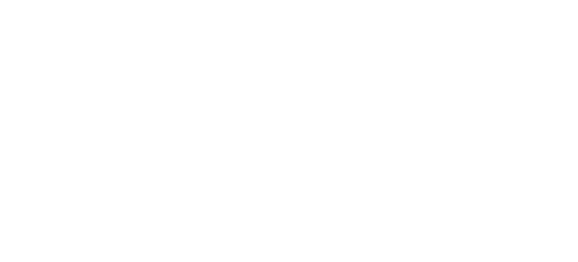 Blue Star Innovation Partners
